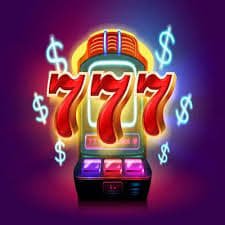 5588bet3